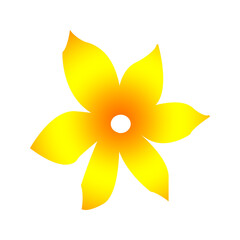 yellow flower isolated