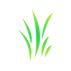 Obraz premium green grass on transparent background