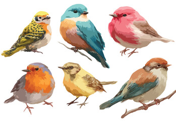 set of different birds
