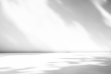 shadow overlay effects of realistic tree leaves shadow on wall and floor,Summer sunlight and dappled shadow overlay effect