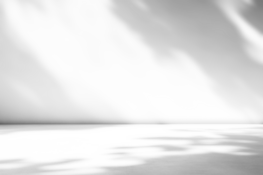 shadow overlay effects of realistic tree leaves shadow on wall and floor,Summer sunlight and dappled shadow overlay effect