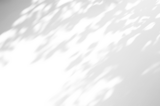 shadow overlay effects of realistic tree leaves shadow on wall,Summer sunlight and dappled shadow overlay effect