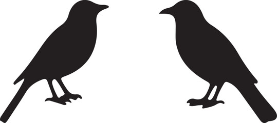 birds on a white background