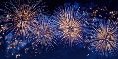 Fototapeta premium The captivating array of vibrant fireworks illuminating the night sky.