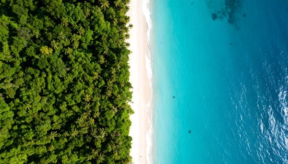 Stunning Aerial View of Pristine Tropical Beach and Lush Green Forest Meeting Turquoise Ocean Waters &ndash; A Remote Island Paradise Landscape