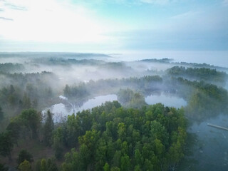 foggy forest lake shore in the evening - drone view thriller