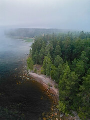 foggy forest lake shore in the evening - drone view thriller