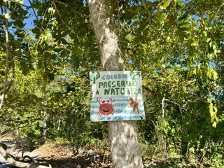 Placa feita à mão com mensagem de preservação ambiental fixada numa árvore no meio da...