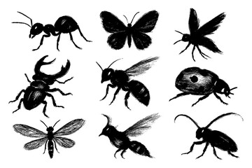 Insect silhouettes including ants, beetles, and butterflies in bold black, Transparent Background