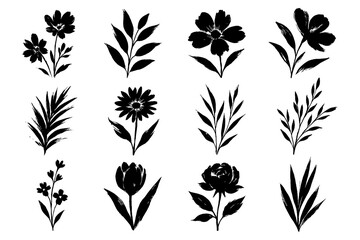 Floral and botanical silhouettes in bold black style, Transparent Background © FriskySloths