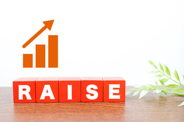 上昇する棒グラフとRAISEの文字のビジネスイラスト