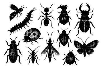 Insect silhouettes including ants, beetles, and butterflies in bold black, Transparent Background