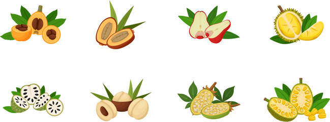 Halves of exotic fruits - flat vector illustrations on white background. Fruit set. 