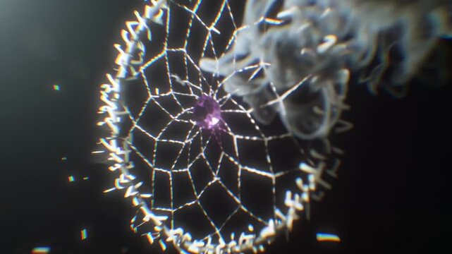 A video frame focused on a dreamcatcher made of small white bones woven with black thread and featuring a central purple gemstone