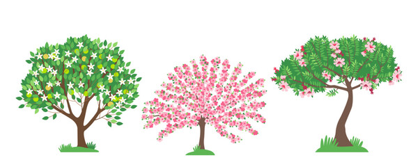 Set of flowering trees mandarin, pomegranate, cherry. Beautiful blossom of fruit and berry tree on white background. Vector illustration in flat style.