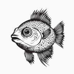 vector illustration of fish
