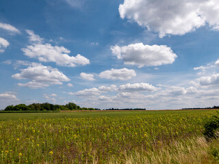Beautiful Bavarian summer landscape between Eichstätt and Titting.