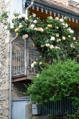 A beautiful balcony with an intricate iron railing showcases lush rose bushes in full bloom