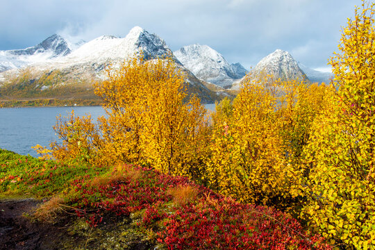 Autumn on Husoy Island - Norway
