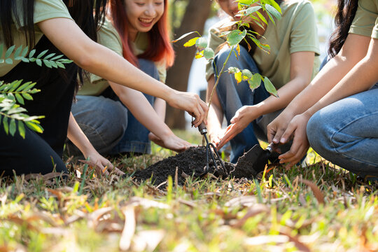 Through caring and teamwork, volunteers demonstrate responsibility and commitment, combining efforts and collaboration to ensure sustainability in conserving nature for future generations.
