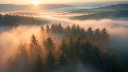 Fototapeta premium Sunrise over a foggy forest landscape with mountains in the background.