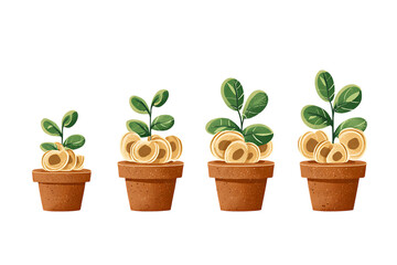 Obraz premium Money plant growing stages