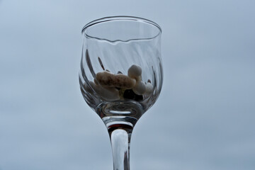 Wine glass with medicines, glass with pills on the background of the sky.