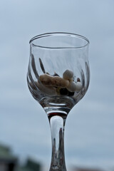 Wine glass with medicines, glass with pills on the background of the sky.