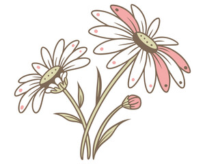 Delicate daisy flowers with petal accents silhouette