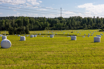 Hudiksvall, Sweden A field with white plastic covered hay bales.