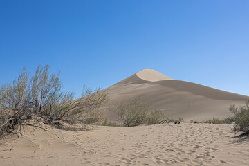 A tall sand dune with sparse vegetation under a clear blue sky in Kazakhstan’s Singing Barkhan desert © Alissa Fuhrmann
