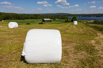 Ytterhogdal,  Sweden Hay bales on a hillside and a lake.