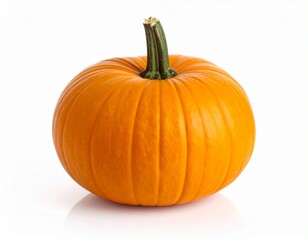 A collection of pumpkins,Halloween,Thanksgiving,rustic d&eacute;cor,celebrating cozy autumn vibes. Earthy pumpkins, excellent for carving, baking,or adding a wholesome touch to any food or lifestyle project.