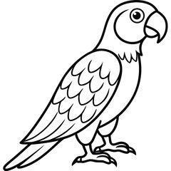 Fototapeta premium Outlined Parrot: A captivating and bold outline illustration of a parrot, showcasing the beauty of line art.