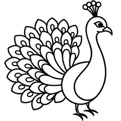 Fototapeta premium Peacock Illustration: A simple line drawing showcases an elegant peacock, its tail feathers gracefully fanned, portraying an image of nature's art.