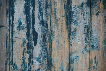 Rustic wooden wall featuring peeling blue paint and textured weathered surface. The paint has peeled off the wooden door, it needs to be repainted