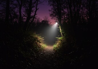 Obraz premium Mysterious forest path illuminated by streetlight at dusk