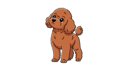 Adorable cute fluffy little brown toy poodle dog standing proudly showing its curly fur texture and sweet expression