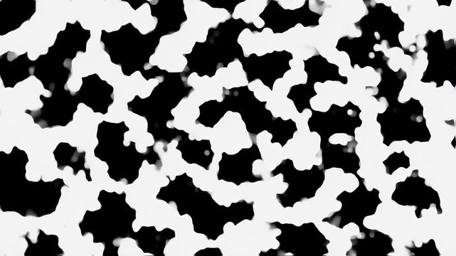 Abstract black and white pattern