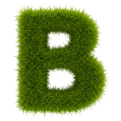 3D Illustration of Grassy Letter B on Black Background