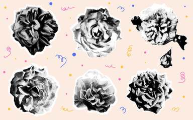 Set of different rose, flowers in retro halftone style. Flower head on torn paper. Trending collage style. Dotted pop art style. Trendy vintage newspaper parts. Perfect for card, event, wedding