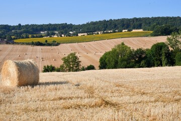 Champ de bl&eacute; avec de nombreuse botte de paille dans un vallon proche d'Issoire dans le puy de d&ocirc;me par une belle journ&eacute;e d'&eacute;t&eacute;