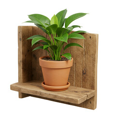 3D Illustration Potted Houseplant on Rustic Wooden Shelf