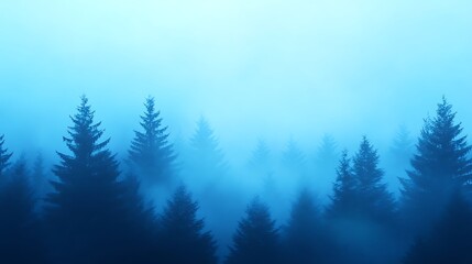Foggy Pine Tree Forest Scenery with Blue Hues in Mountain Landscape