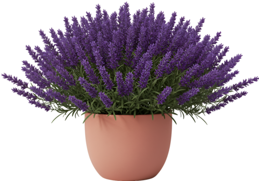 3D Realistic Lavender Plant in Pink Pot