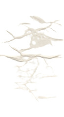 Abstract White Paint Splatter on Black Background