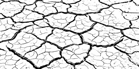A stark, high-contrast, black and white close-up of severely cracked earth, showing a network of deep fissures and irregular polygons. The texture emphasizes the dryness and desolation of the ground.
