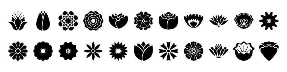 Buds of different types of flowers. Vector isolated bloomlets of spring flower in monochrome style. Blossoms with various petals. Blooming meadow flowerets, flourishing and blossoming decorations