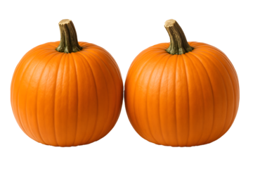 Two Fresh Orange Pumpkins with Stems Isolated on White Background