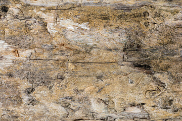 Aged Wood Grain Cracked Surface Texture